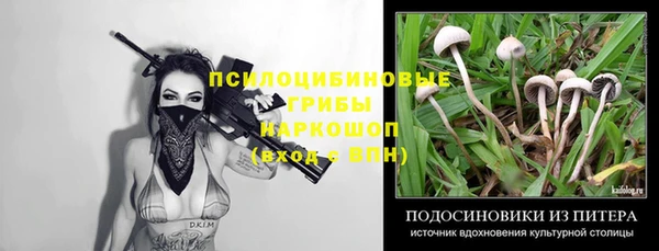 Альфа ПВП Магадан