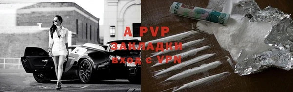 Альфа ПВП Магадан