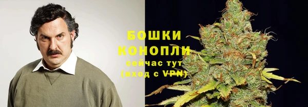 шишки Майский