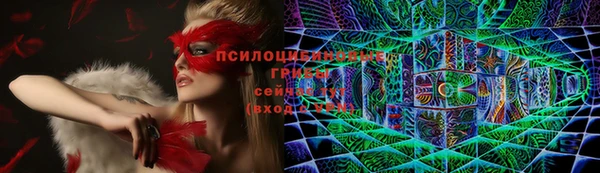 Альфа ПВП Магадан