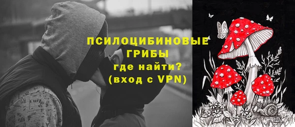 шишки Майский