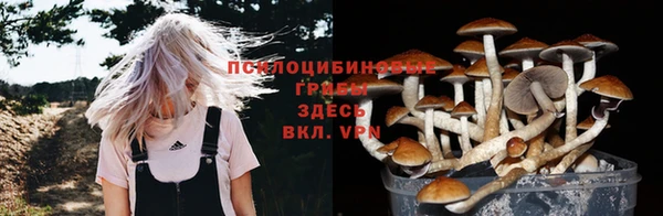 шишки Майский